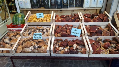 la nostra frutta italiana Funghi di qualità italiani